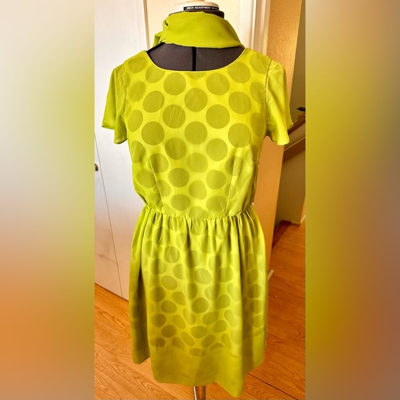 Sara Campbell Black Polka Dot Under Sheer Lime Green Fit & Flare Dress Sz 10 - Picture 7 of 11